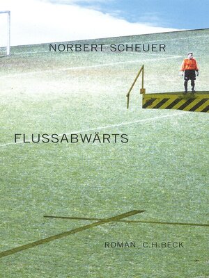 cover image of Flußabwärts